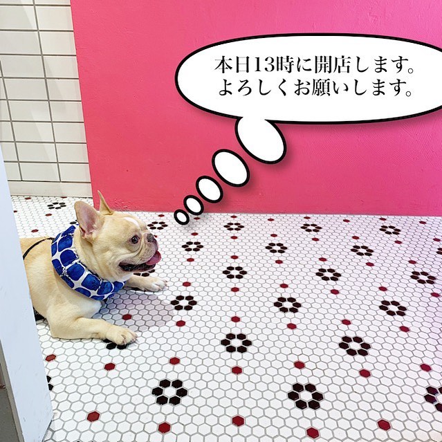 おはようございます。本日、都合により13時に開店いたします。よろしくお願いします。